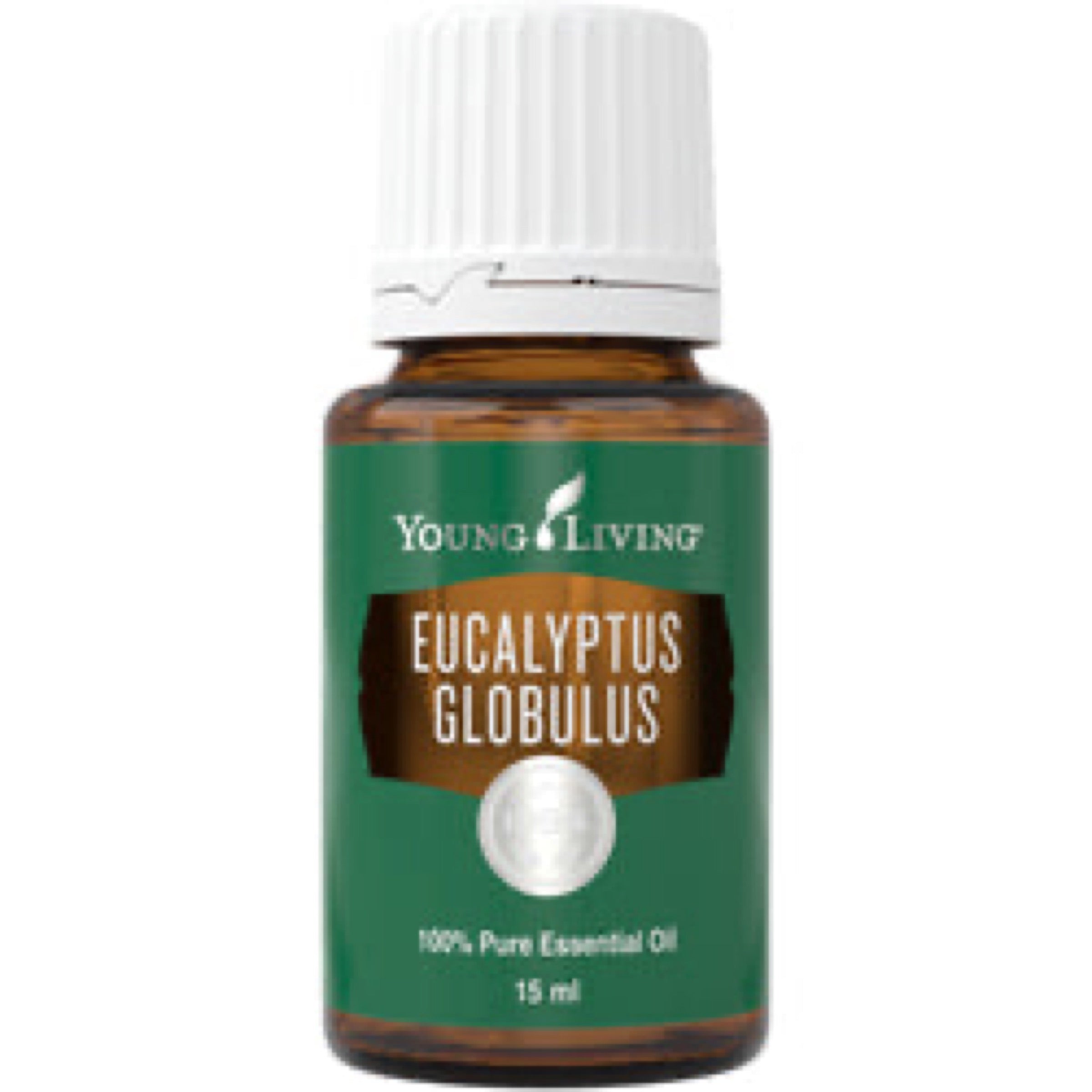 Eucalyptus Globulus Essential Oil 15ml