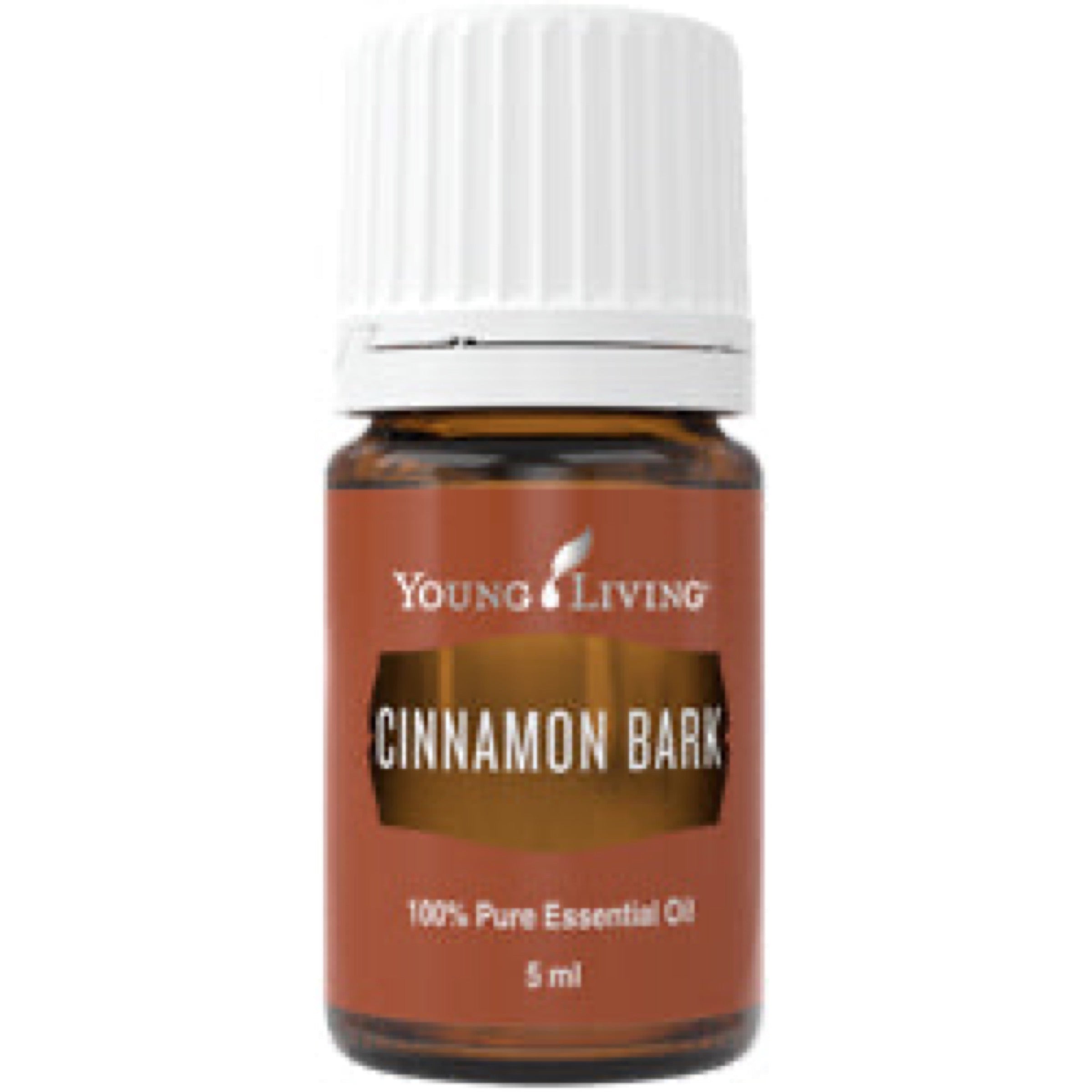 Cinnamon Bark Essential Oil 5ml
