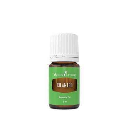 Young Living Cilantro Essential Oil 5ml bottle with a label and cap, showcasing the herbal essential oil product.