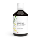 Zinzino BalanceOil+ Vegan Lemon Flavour 300ml - Alkaline World